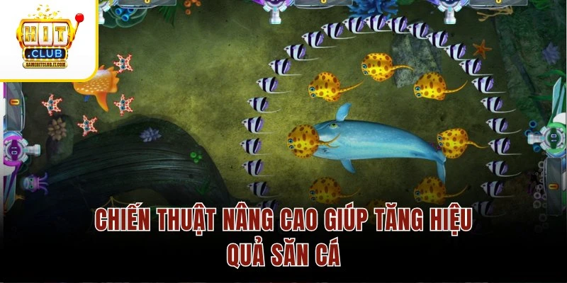Cách Chơi Game Bắn Cá Online HitClub Thu Thưởng Siêu Đỉnh Chiến thuật nâng cao giúp tăng hiệu quả săn cá
